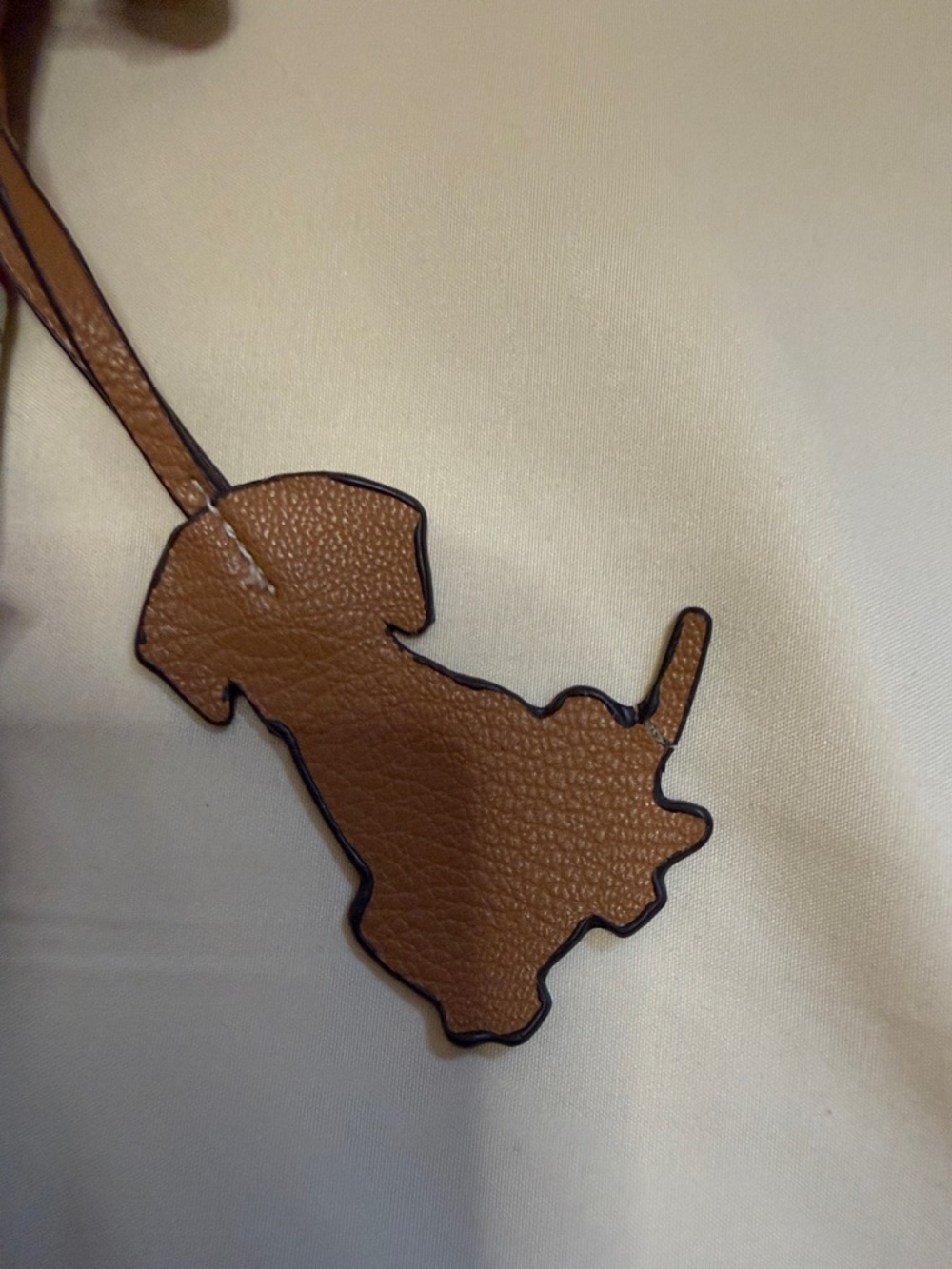 Lily Bloom Mint Crossbody Bag with Multicolor Dachshund Print - Picture 2 of 10